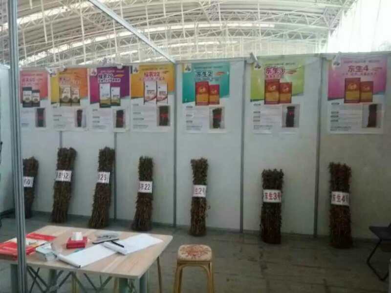 1479374822639274.jpg QQ圖片20161117174456.jpg